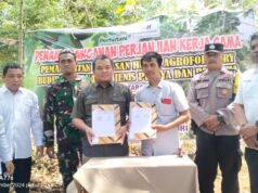 Perum Perhutani BKPH Pati Tanda tangani Kerja Sama Dengan PT Sekuping jaya mandiri Agroforestry Ketela BKPH Pemangkuan Hutan Klumobangsri
