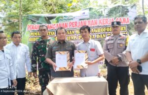 Perum Perhutani BKPH Pati Tanda tangani Kerja Sama Dengan PT Sekuping jaya mandiri Agroforestry Ketela BKPH Pemangkuan Hutan Klumobangsri