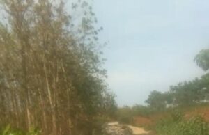 Warga Desa Tubanan Kecamatan Kembang Kabupaten Jepara Keluhkan Pembuangan Limbah Diduga B3, Dari PLTU TJB Jepara