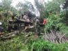 Hujan Lebat Di Sertai Angin Kencang Mengakibatkan Pohon Tumbang Mengenai Satu Rumah Warga*