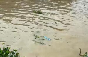 Ina lillahi wa Ina lillahi rodjiun Setelah Pergi Tanpa Pamit Suprihati Warga Desa Kelet Ditemukan Terapung Di sungai juana