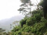 Tanah Longsor Di Jalan Penghubung perbatasan Desa Tempur Dan Medani Disebabkan Oleh Tingginya Curah Hujan