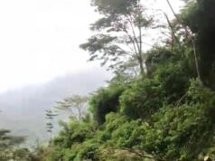 Tanah Longsor Di Jalan Penghubung perbatasan Desa Tempur Dan Medani Disebabkan Oleh Tingginya Curah Hujan