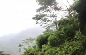 Tanah Longsor Di Jalan Penghubung perbatasan Desa Tempur Dan Medani Disebabkan Oleh Tingginya Curah Hujan