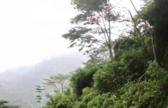 Tanah Longsor Di Jalan Penghubung perbatasan Desa Tempur Dan Medani Disebabkan Oleh Tingginya Curah Hujan
